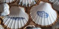 Seaweed Organic Skin Care Bar 2 stuks (inclusief gedecoreerde Sint Jacobsschelp)