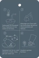 Seaweed Face Treatment (Inclusief Sint-Jacobsschelp)