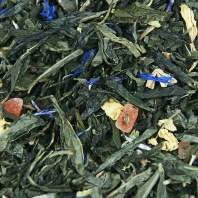 Sencha Cactusvijg