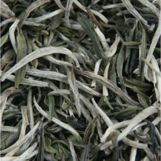 Silver Needle White Tea
