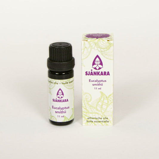 Eucalyptus Smithii 11 ml