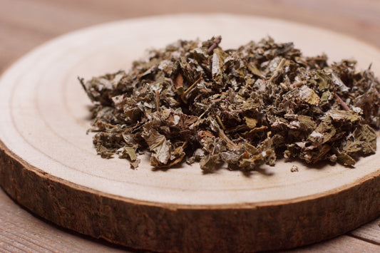 Feuille de framboisier