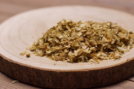 Cloche de houblon coupée