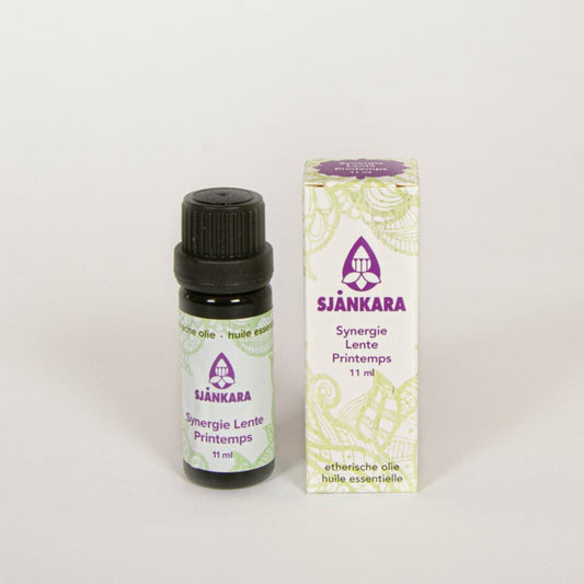 Synergie Lente 11 ml