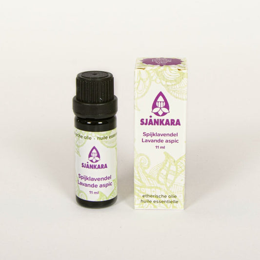 Spijklavendel 11 ml