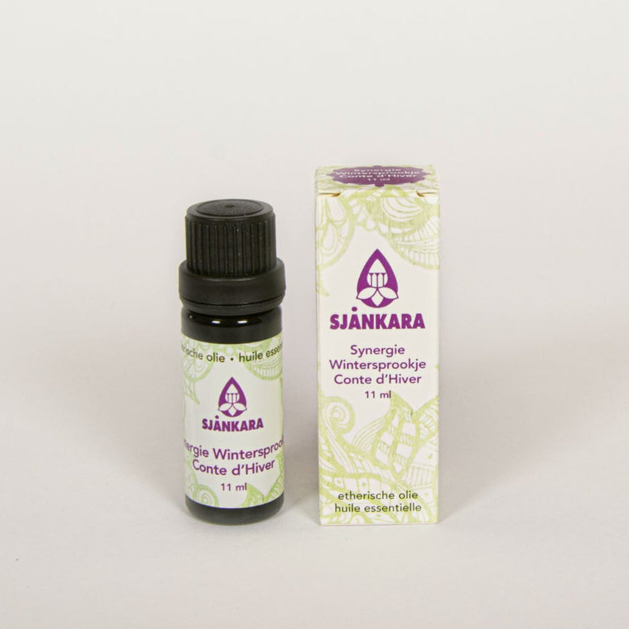 Synergie Conte de Fées d'Hiver 11 ml