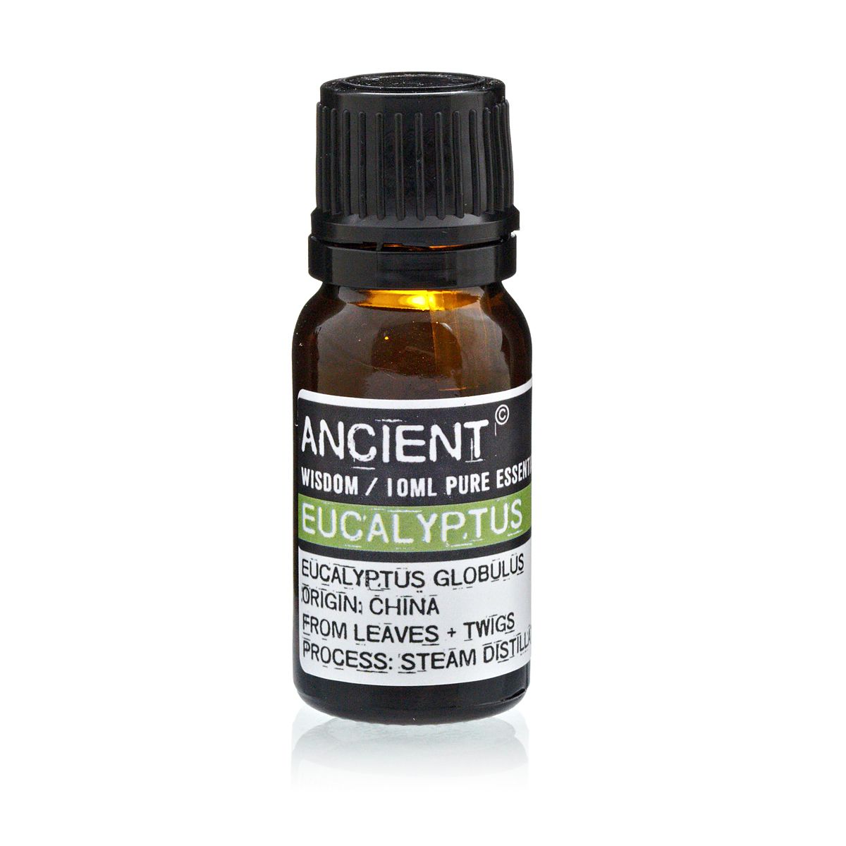 Etherische Olie Eucalyptus – 10 ml