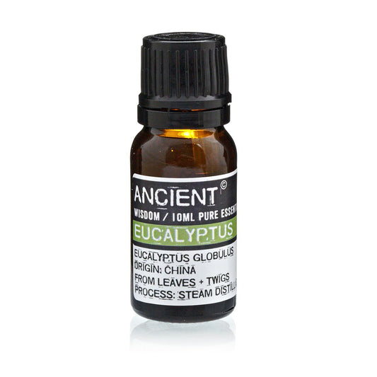 Etherische Olie Eucalyptus – 10 ml