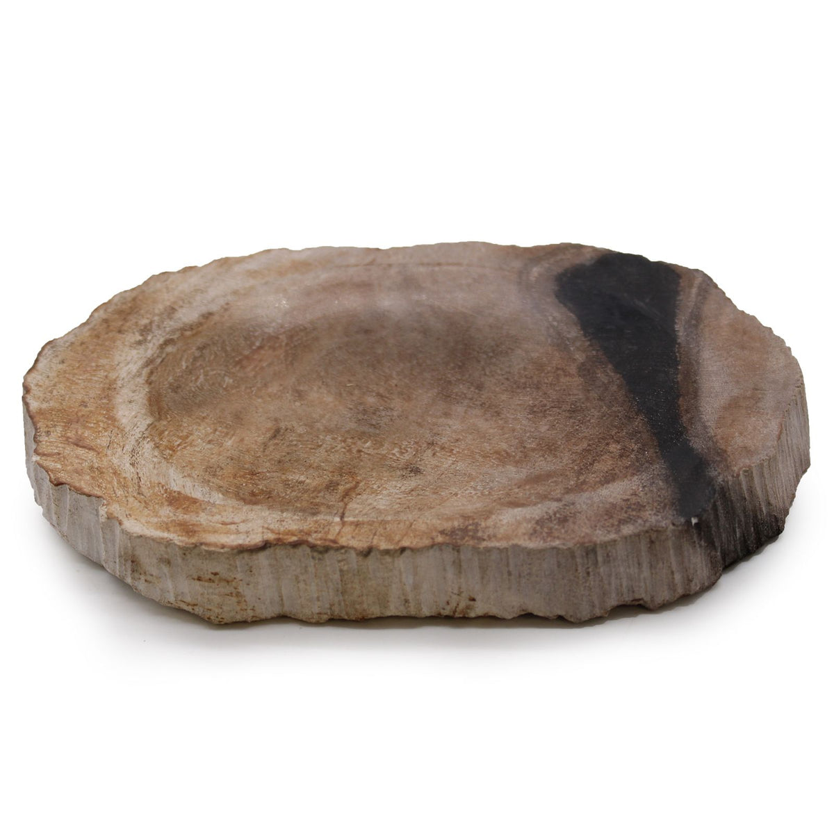 Zeepschaaltje van Zwart Versteend Hout