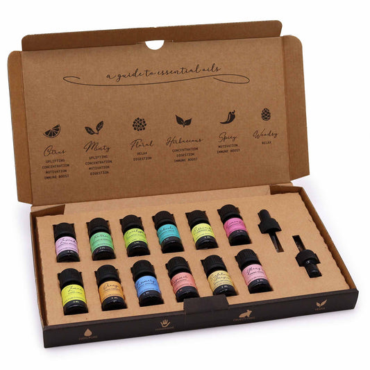 Etherische Olie Geschenkset – The Top 12