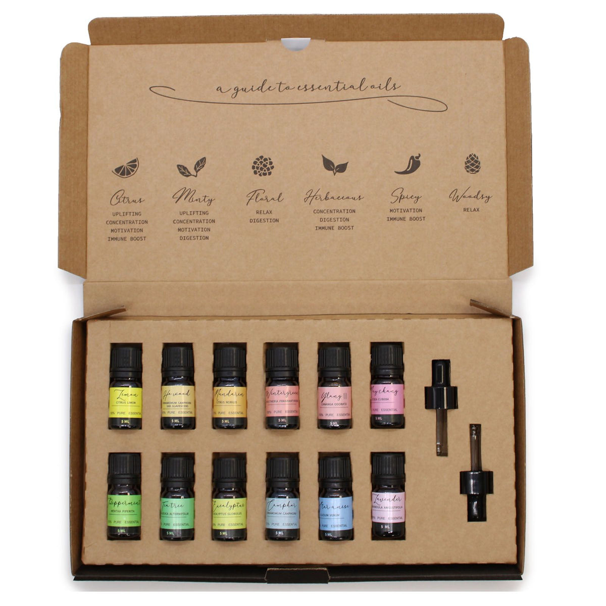 Etherische Olie Geschenkset – Starter Pack