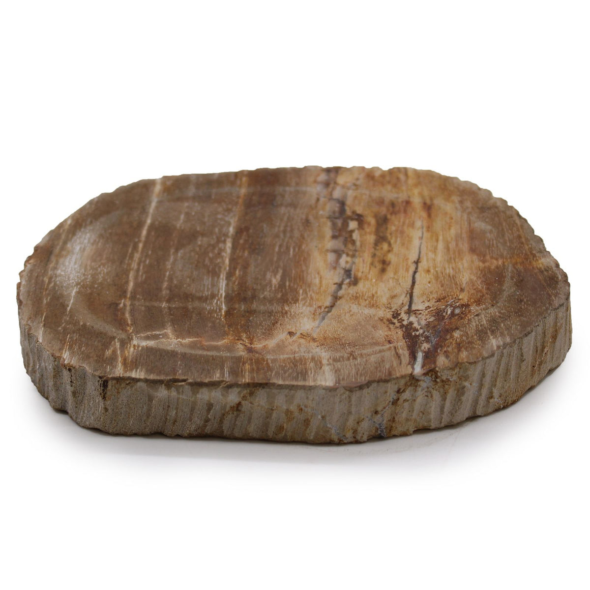 Zeepschaaltje van Bruin Versteend Hout
