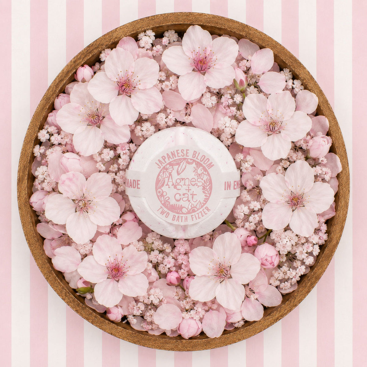 Agnes + Cat Bruisballen Geschenkset – Lakeland Favourites